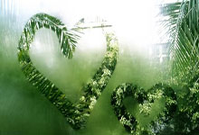 天涯神贴双色球